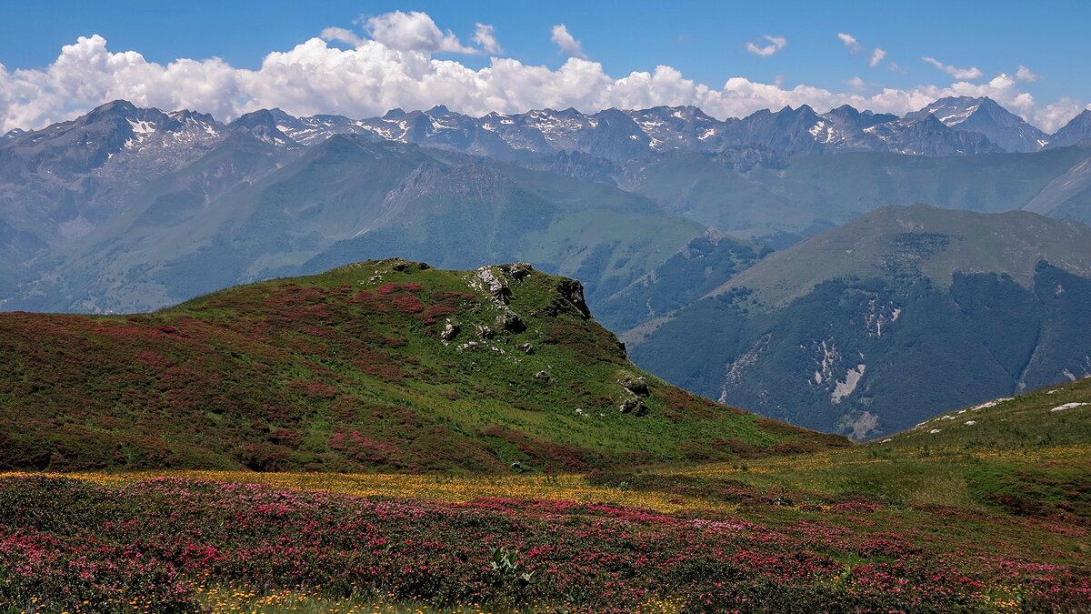 Le Alpi Marittime dai pressi del Colle Vaccarile