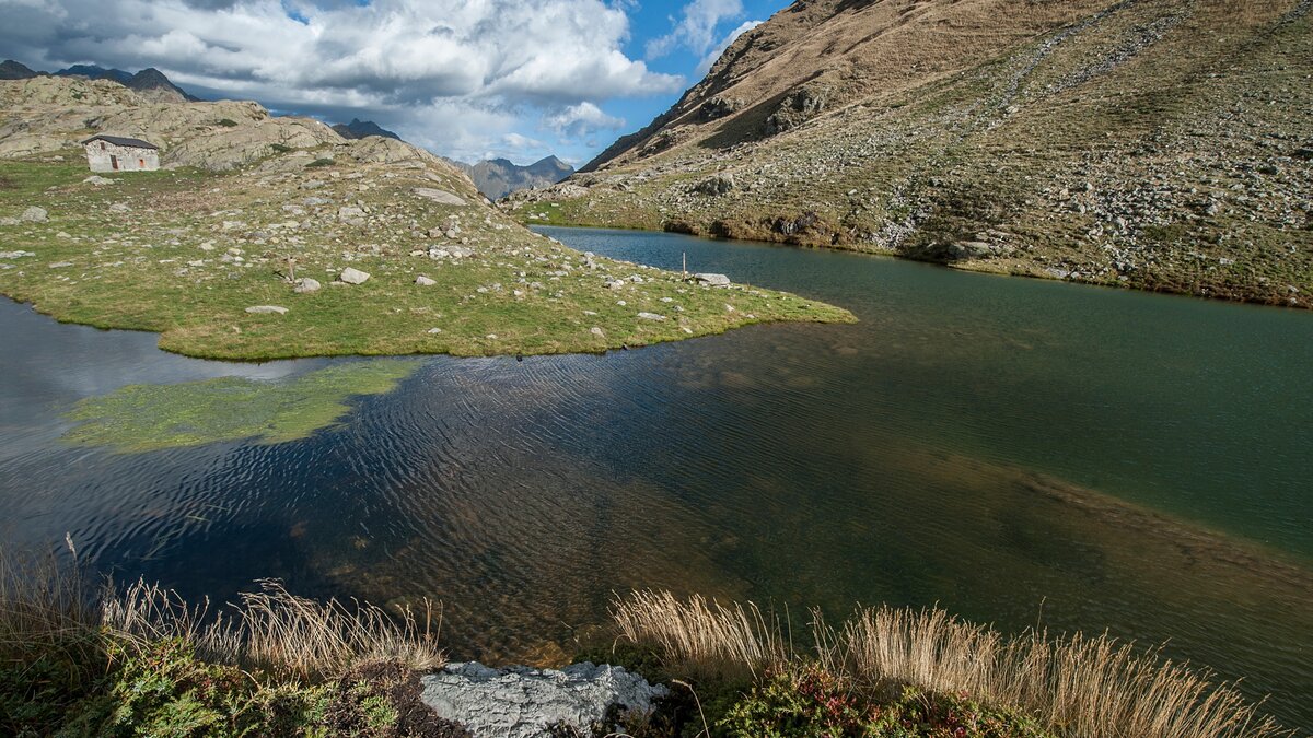 Il Lago del Vei del Bouc e il Casotto di sorveglianza del Parco